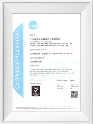 永利yl23411光电ISO13485荣誉证书（中文）