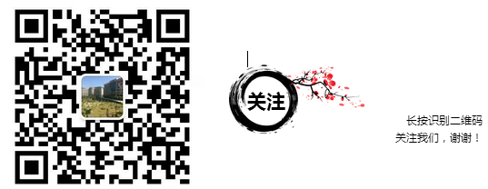 图片10
